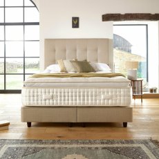 Harrison Mardi Gras Pillowtop 14000 Turn Free Divan set Harrison Mardi Gras Pillowtop 14000 Turn Free Divan set